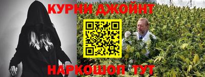 стафф Гай