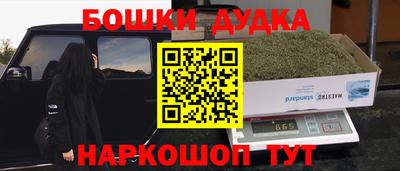 стафф Гай