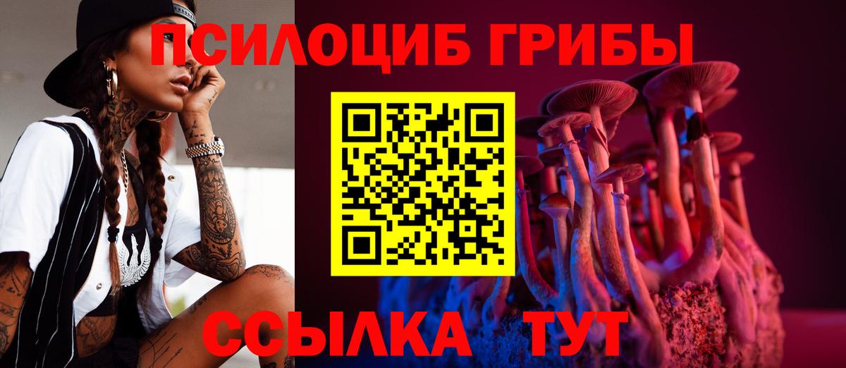 Новоалександровск  Псилоцибиновые грибы мицелий  Вход с VPN 