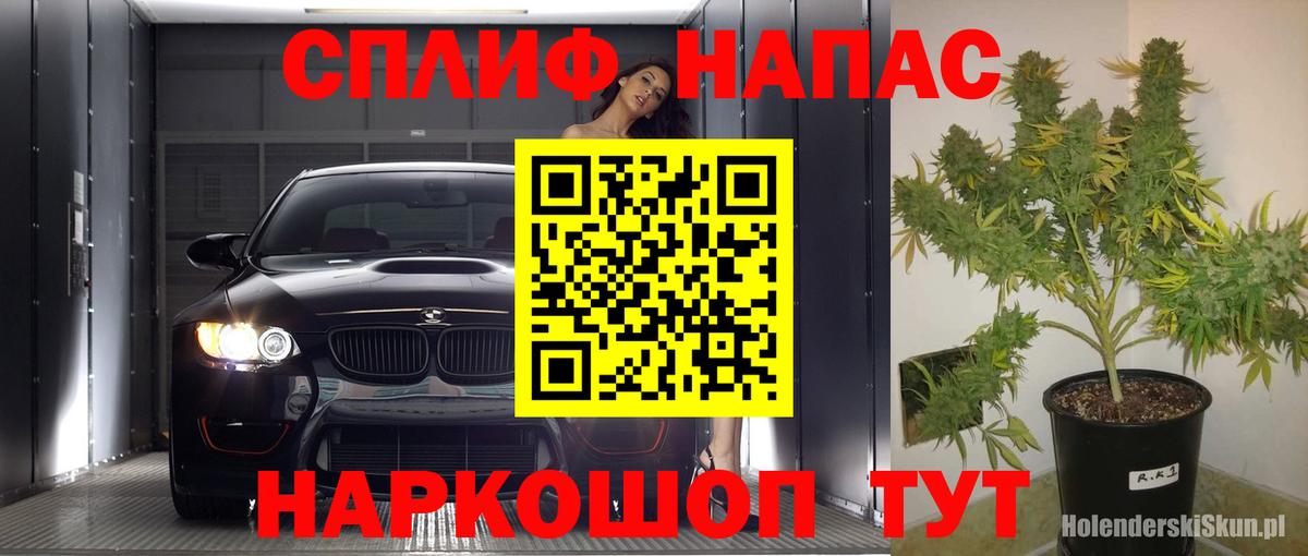 Конопля Amnesia Новоалександровск